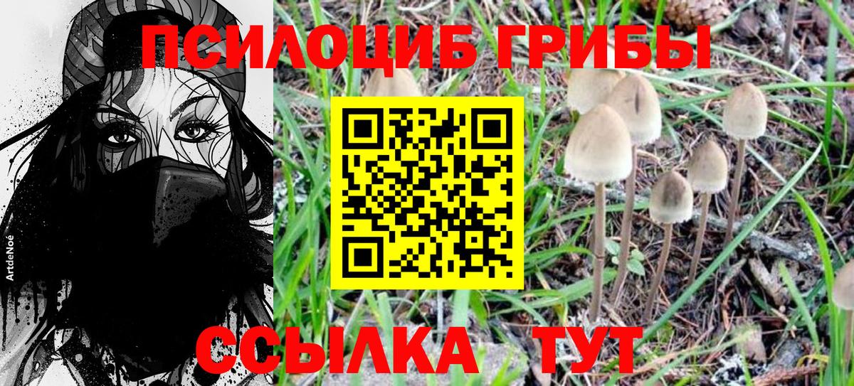 купить  цена  Псилоцибиновые грибы Magic Shrooms  Вход с VPN  Партизанск  Псилоцибиновые грибы прущие грибы 
